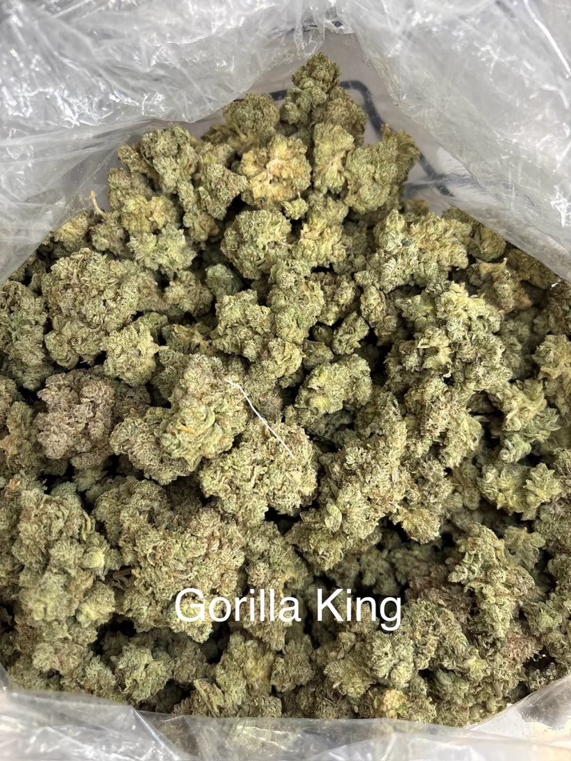 Purge Premium Exotic THCA Flower Gorilla King 26.09% - Sativa